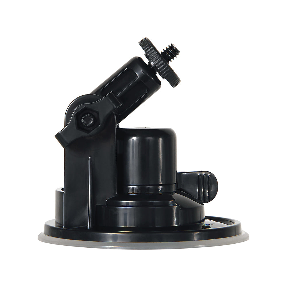 BOMBA MENSAJE EMBOTELLADO GENDER X