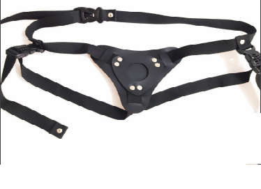 CORREA ARNES UNIVERSAL