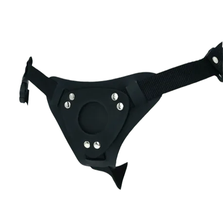 CORREA ARNES UNIVERSAL