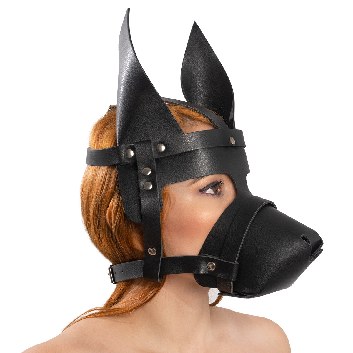 MÁSCARA DE PERRO ANUBIS